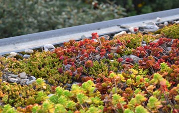 the cost of Kirkoswald green roof installation