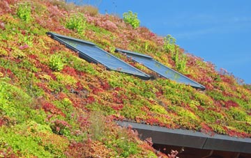 Kirkoswald living roof systems